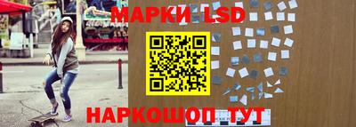 прущие грибы Будённовск