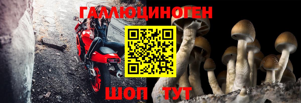 Галлюциногенные грибы ЛСД Луга