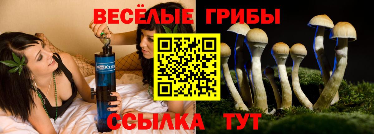 Псилоцибиновые грибы мицелий  Вход с VPN  Луга 