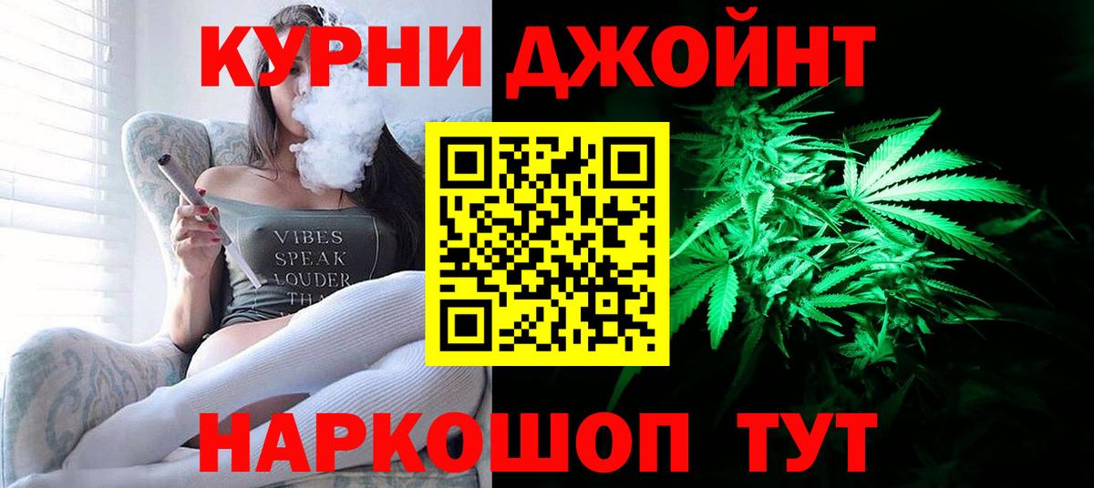 Конопля OG Kush Луга